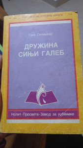 DRUŽINA SINJI GALEB