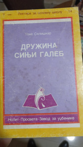 DRUŽINA SINJI GALEB
