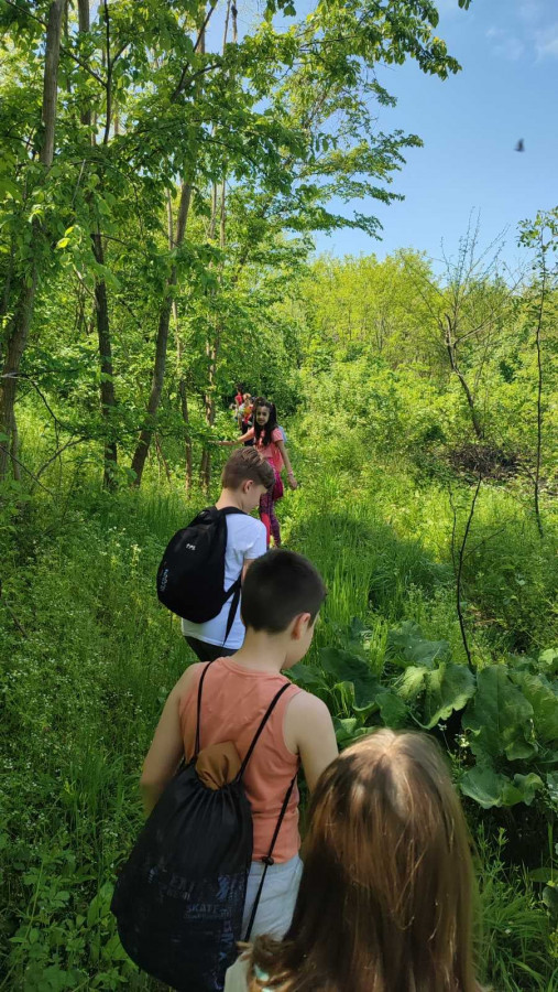 Mesto za sliku iz galerije