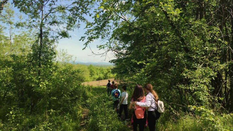 Mesto za sliku iz galerije