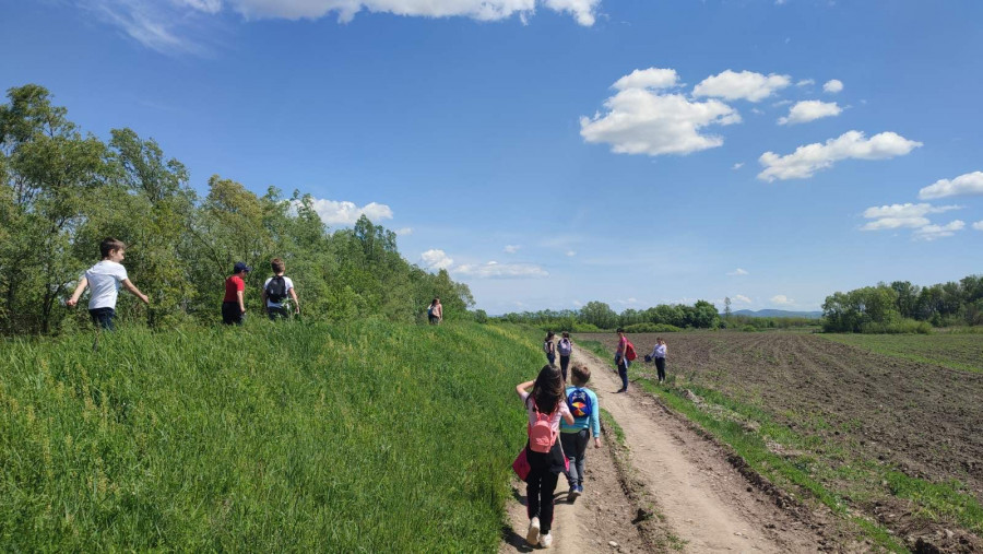 Mesto za sliku iz galerije