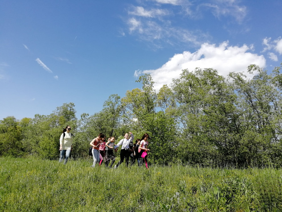 Mesto za sliku iz galerije