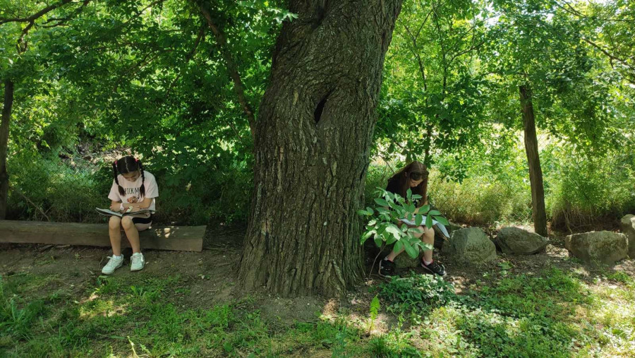 Mesto za sliku iz galerije