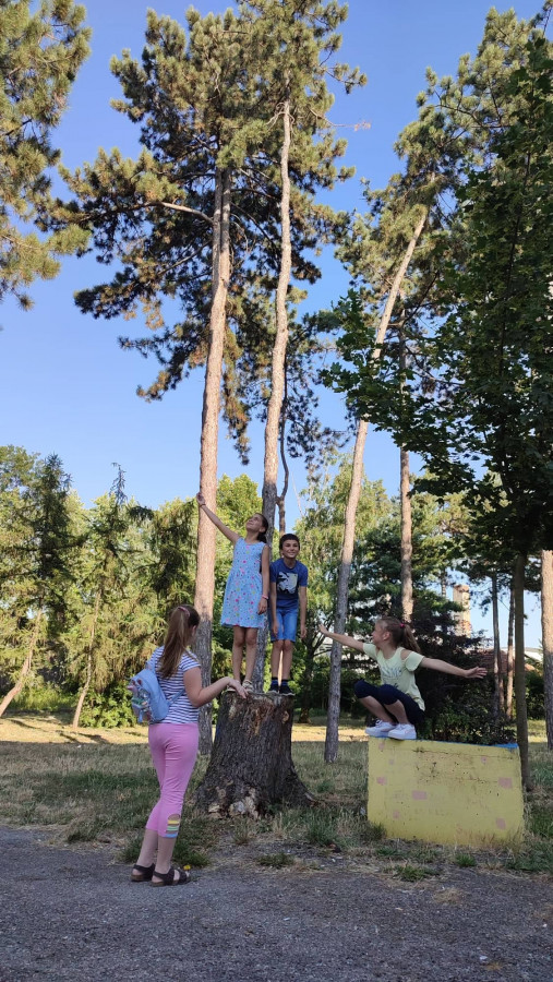 Mesto za sliku iz galerije